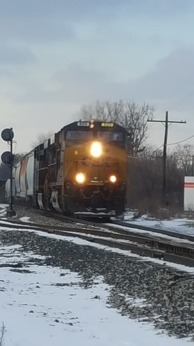 Photograph from Out and About photographed January 2016