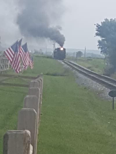 Photograph from Out and About photographed September 2017