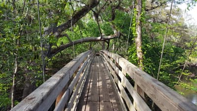 Photograph from Out and About photographed March 2018
