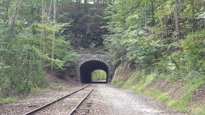 Photograph from Out and About photographed September 2018