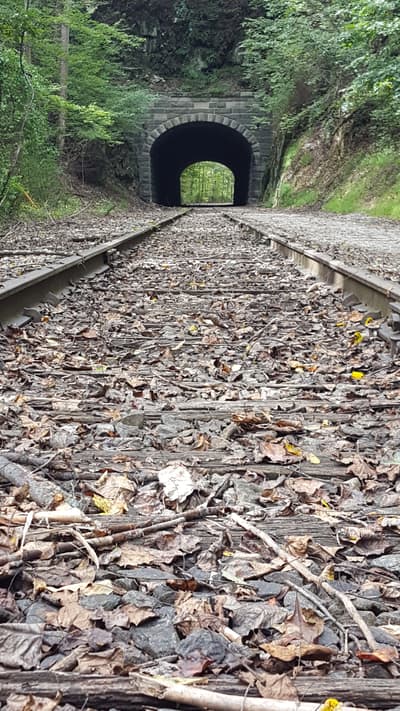 Photograph from Out and About photographed September 2018