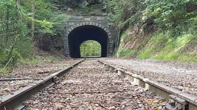 Photograph from Out and About photographed September 2018