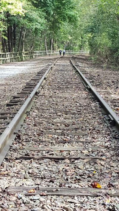 Photograph from Out and About photographed September 2018