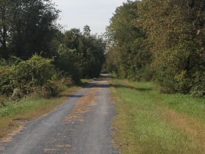 Photograph from The Rail Trails photographed September 2012