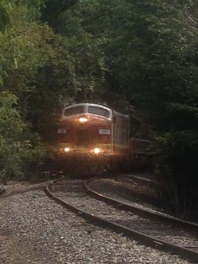 Photograph from Trackside photographed September 2015