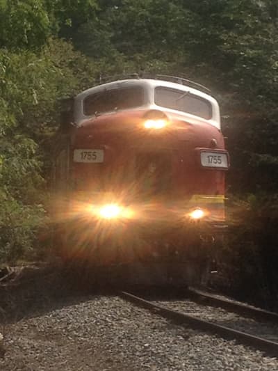 Photograph from Trackside photographed September 2015